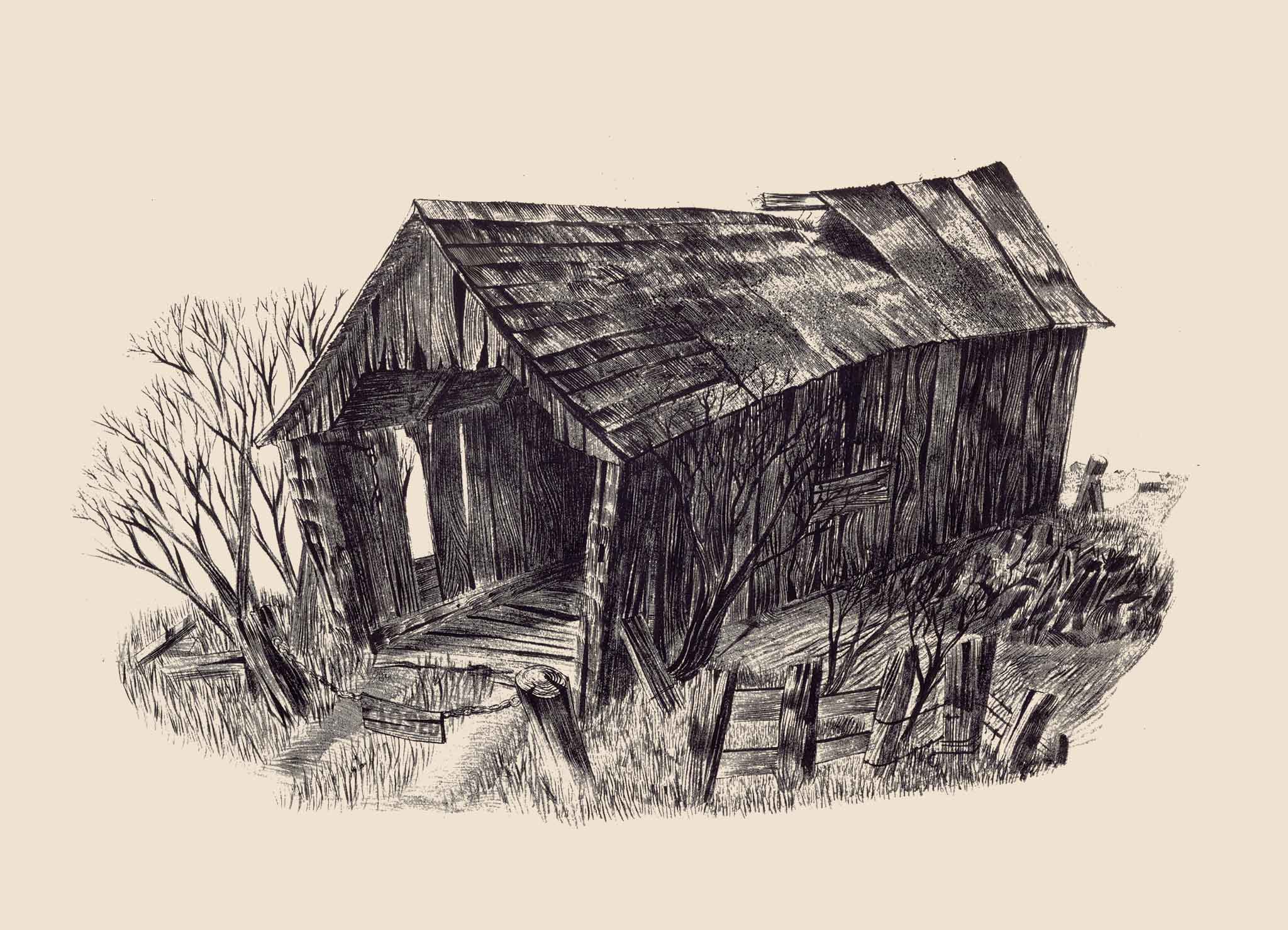 Black and White - Ink Brush Drawings