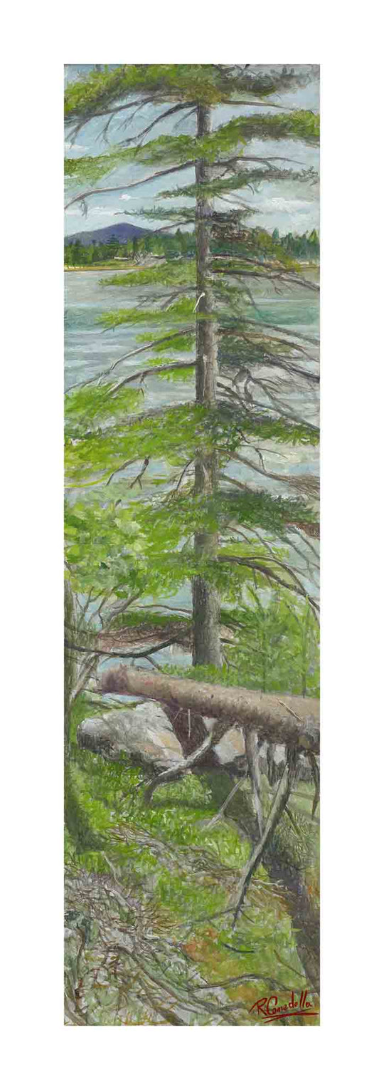 Island Scape No. 6