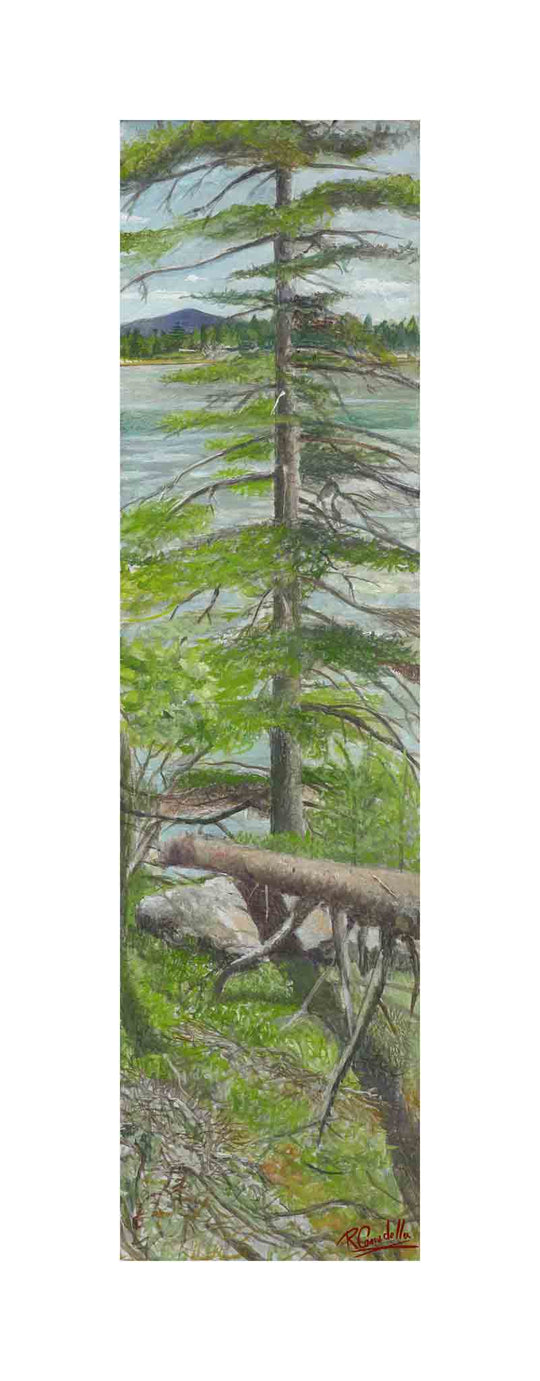 Island Scape No. 6
