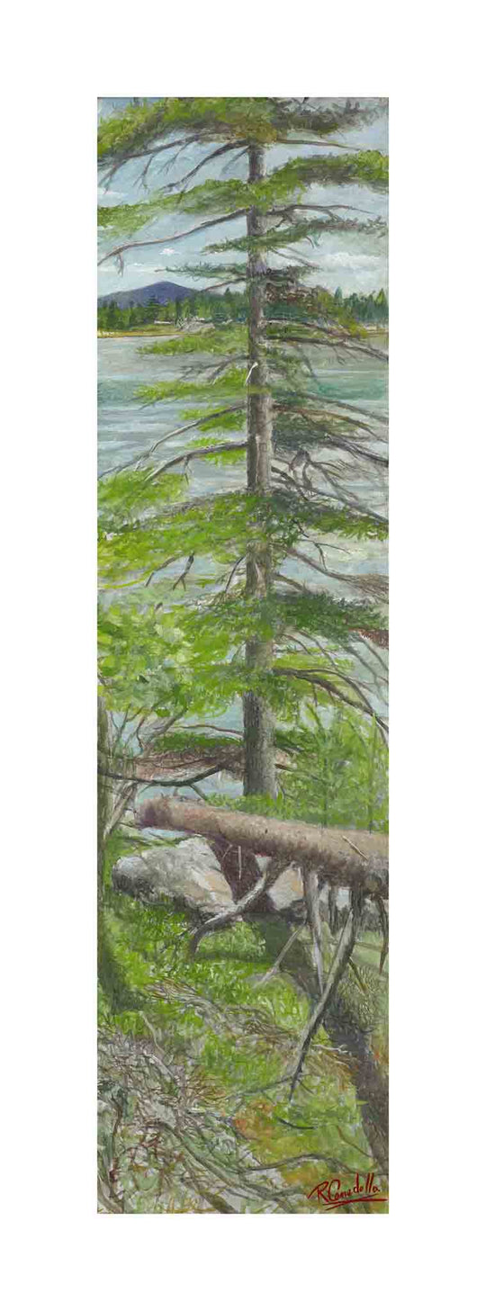 Island Scape No. 6